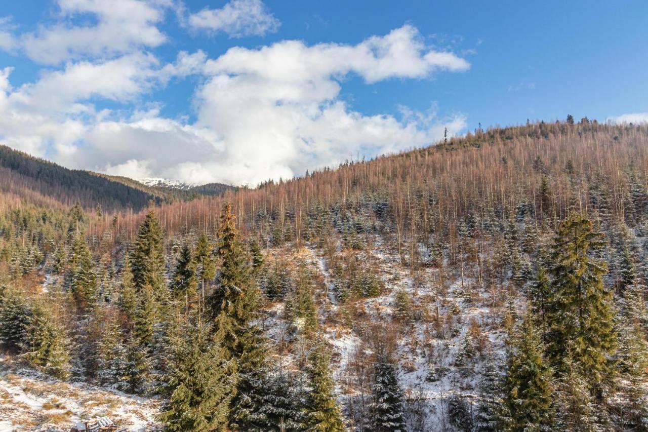 Konopka Forest Home Bukovel Eksteriør bilde