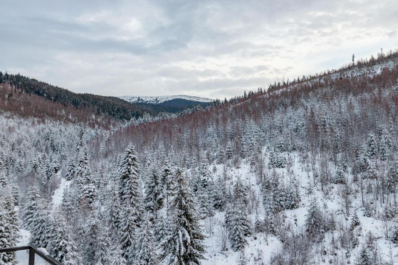 Konopka Forest Home Bukovel Eksteriør bilde